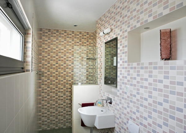 Bathroom shower area