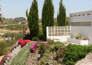 Garage side tubs in bloom