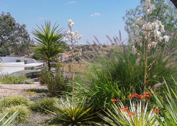 Garden landscaping