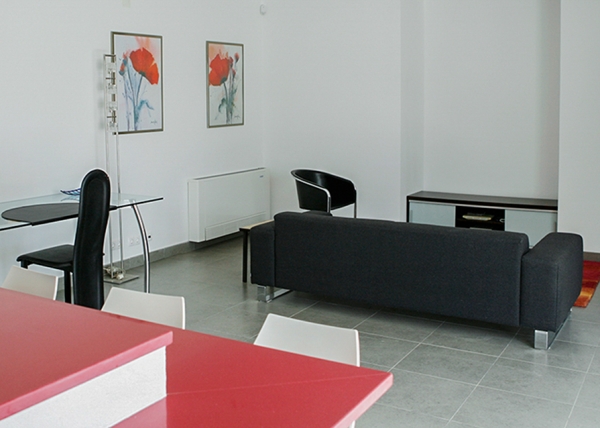 Apartment Lounge/Dining Area