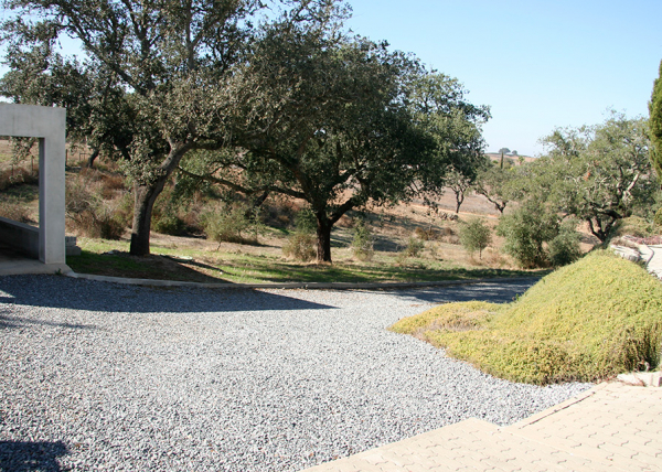 West area with oak trees