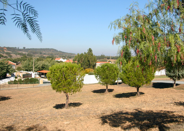 North field facing village