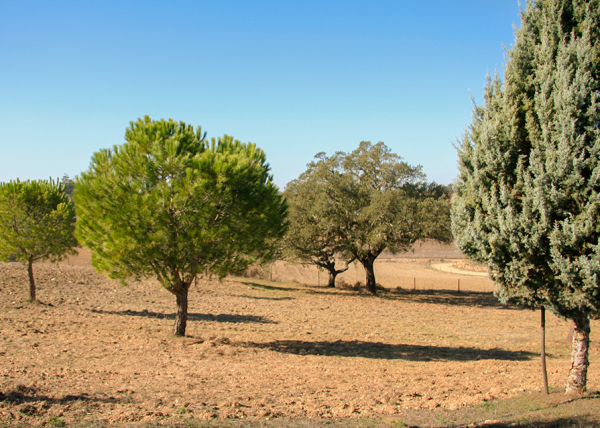 Enclosed North area with land beyond