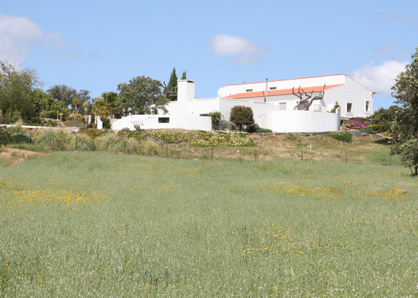 House and apartment from South East