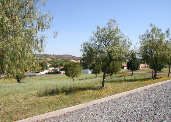 Land. North view towards Chada Nova