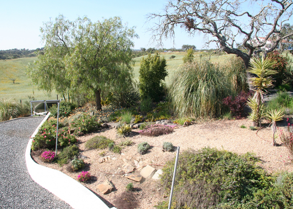Landscaped garden
