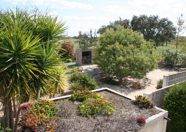 Rear garden