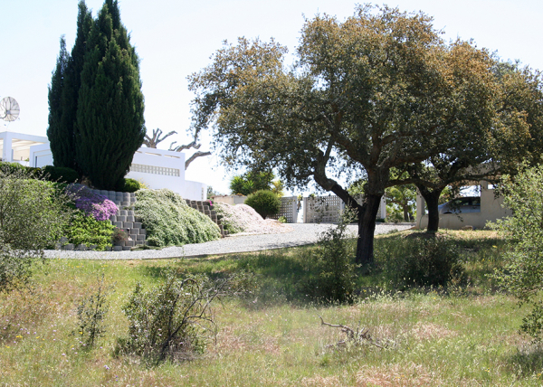 Return drive and retaining flower tubs