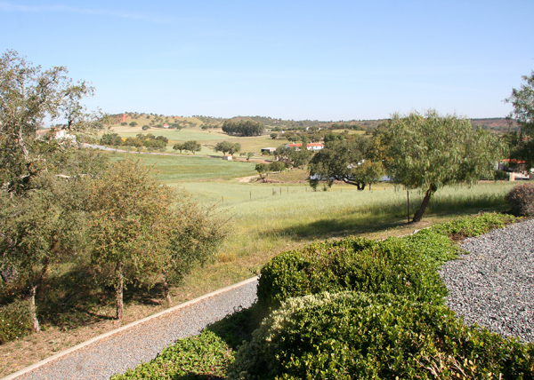 Land North West view from house