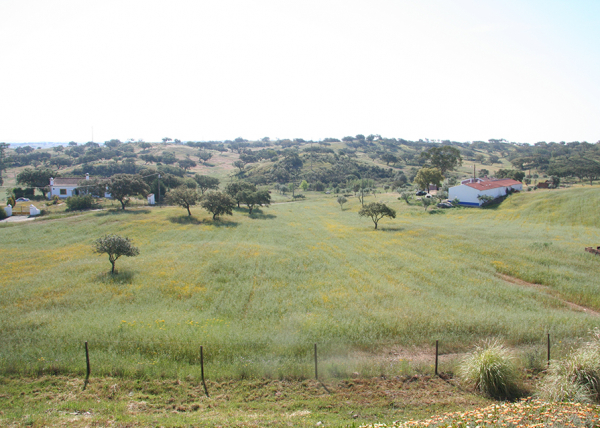 Land Southern view