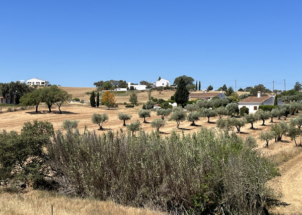 View from N123